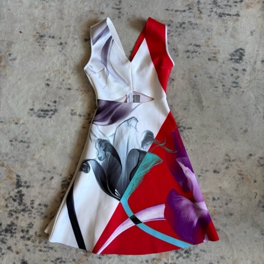 Clover Canyon Color Block Tulip Print Scuba Sleeveless Dress - XS